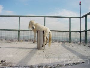 “No Barrag&aacute;n No Cry”