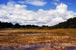 黑河流域保護區 黑河流域保護區