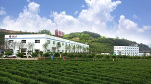 東裕茗茶 東裕茗茶