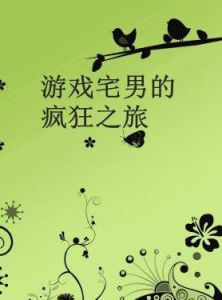 遊戲宅男的瘋狂之旅 遊戲宅男的瘋狂之旅