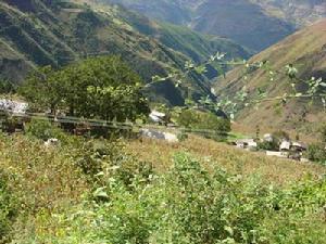 上松登村 上松登村