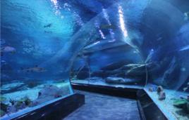 成都海洋館