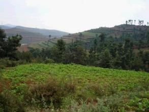 裴家口子自然村 裴家口子自然村