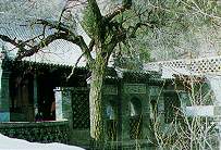 愛吾廬[河北張家口]