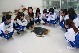 情景教學 情景教學