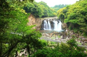 宮崎縣綜合運動公園 宮崎縣綜合運動公園