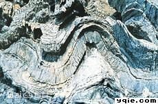 層間面理 層間面理