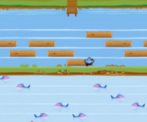 遊俠羅伯過河 遊俠羅伯過河