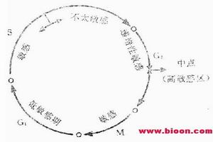 染色體畸變疾病