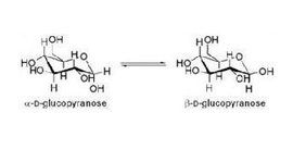 差向異構體 差向異構體