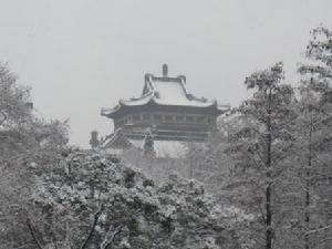 《魏風·伐檀》