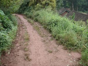 配布自然村 配布自然村