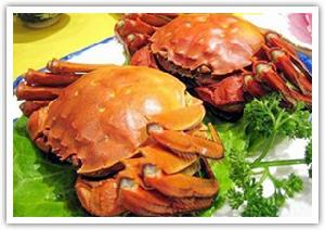 蘇州市蓮花島大閘蟹有限公司 蘇州市蓮花島大閘蟹有限公司