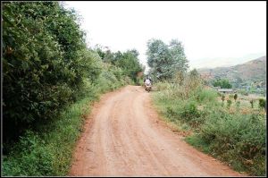 新莊四家村 新莊四家村