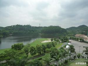 觀瀾湖聖堤灣 觀瀾湖聖堤灣