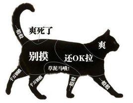 貓狗愛撫區域圖 貓狗愛撫區域圖