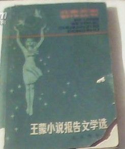 《王蒙小說報告文學選》 《王蒙小說報告文學選》