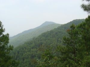 下海牛自然村 下海牛自然村