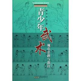 青少年武術規範套路與散打 青少年武術規範套路與散打