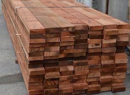 西部紅柏 西部紅柏