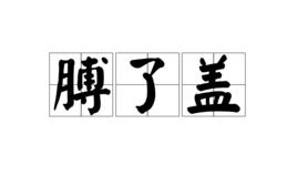 膊了蓋 膊了蓋