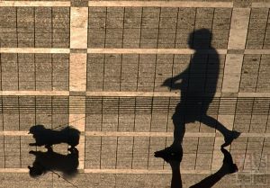 遛狗瘦身 遛狗瘦身