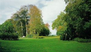 英國自然風景園 英國自然風景園