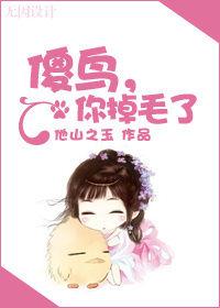 傻鳥,你掉毛了 傻鳥,你掉毛了