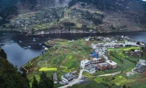 仁懷市大壩鎮 仁懷市大壩鎮