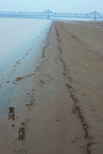 黃河河床