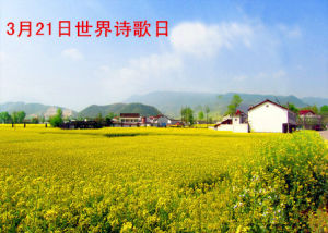世界詩日