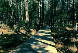 木札嶺原始生態旅遊區