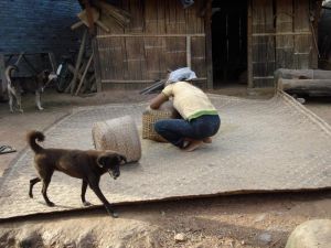 發達二村 發達二村