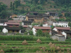 麻力樹田自然村 麻力樹田自然村