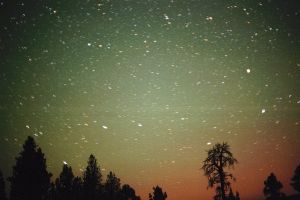 Bruce Alber, 8月19日美國俄勒岡州