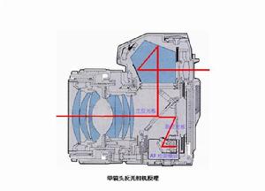 單鏡頭反光相機原理圖