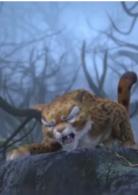 熊出沒之探險日記2