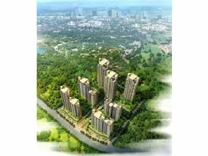 紫薇公園時光 紫薇公園時光