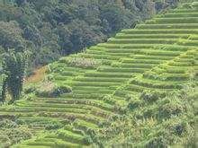 沖子頭村 沖子頭村