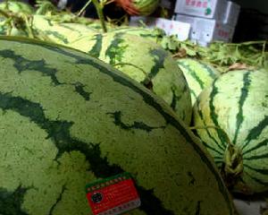 雙堠西瓜 雙堠西瓜