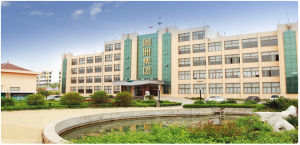 山東省魯洲集團有限公司