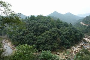 連康山國家級自然保護區