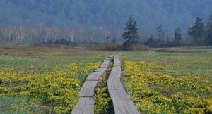 右玉縣旅遊區 右玉縣旅遊區