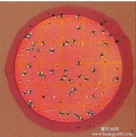 大腸菌群數 大腸菌群數