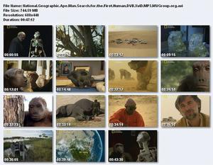 圖邁--引發爭議