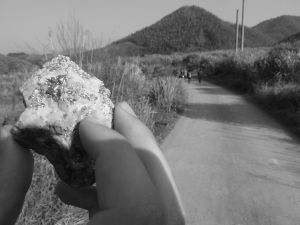 赤崗西路橫二街 赤崗西路橫二街