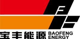 寧夏寶豐能源集團有限公司 寧夏寶豐能源集團有限公司