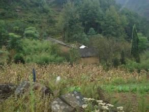 謝家大坪子村 謝家大坪子村