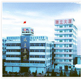 瑞立集團有限公司 瑞立集團有限公司