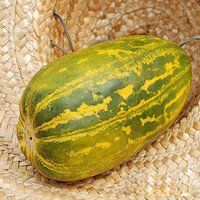 浪潮金豹 浪潮金豹